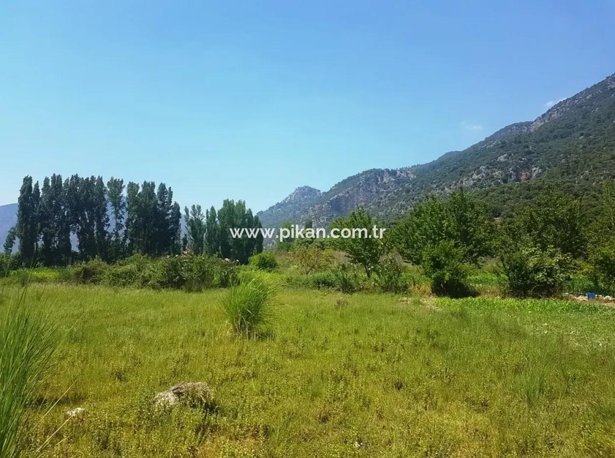 3700 M2 Land For Sale In Koycegiz