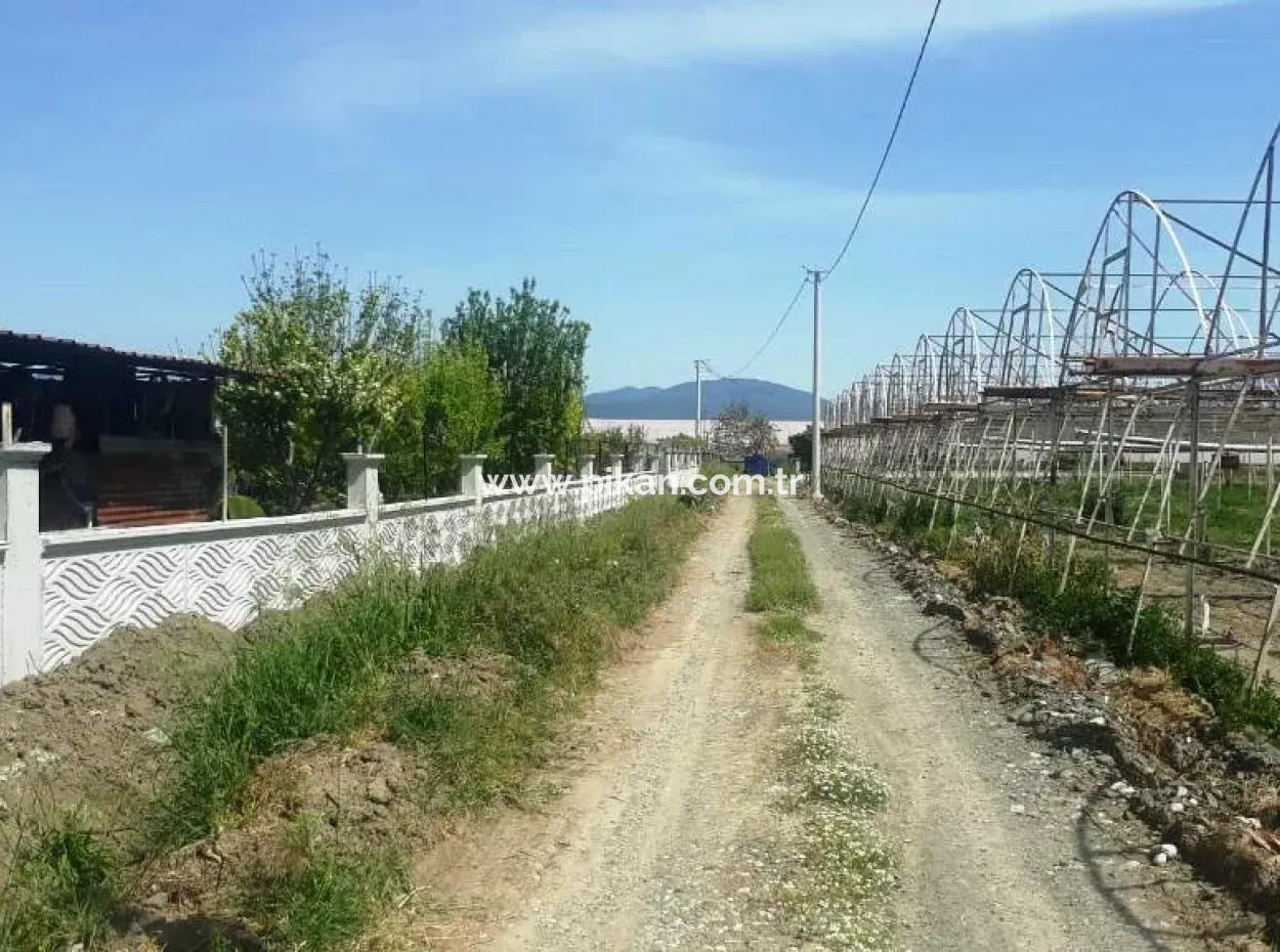 4,000 M2 Tunnel Greenhouse For Sale In Ortaca Dalaklı  