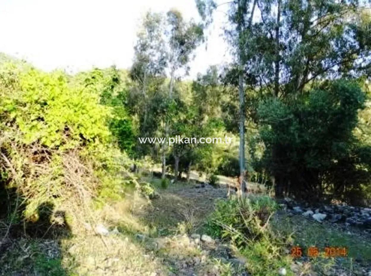 600 M2 Sea View Garden For Sale In Mugla Fethiye Eldirek