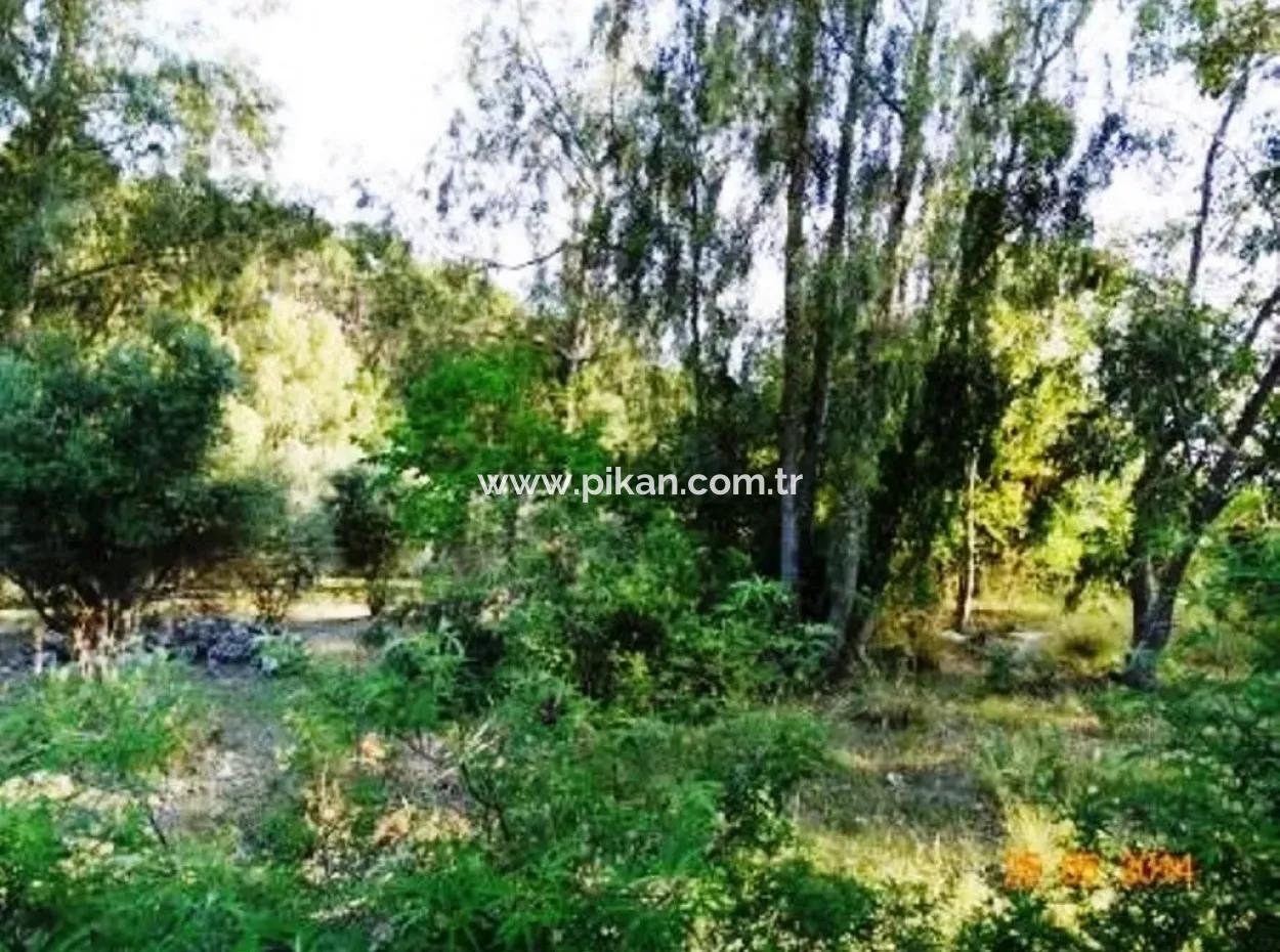 600 M2 Sea View Garden For Sale In Mugla Fethiye Eldirek