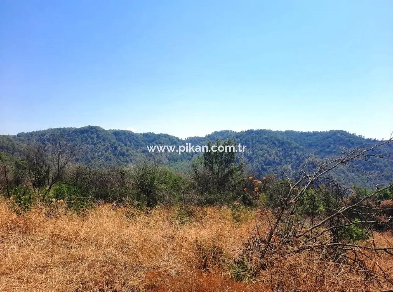 Muğla Dalaman 42.432M2 Detached Land With Title Deed For Sale