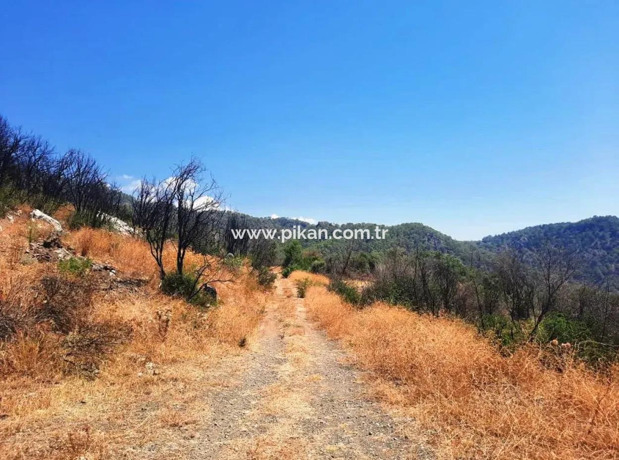 Muğla Dalaman 42.432M2 Detached Land With Title Deed For Sale