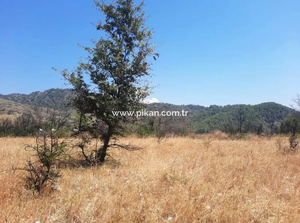 Muğla Dalaman 42.432M2 Detached Land With Title Deed For Sale