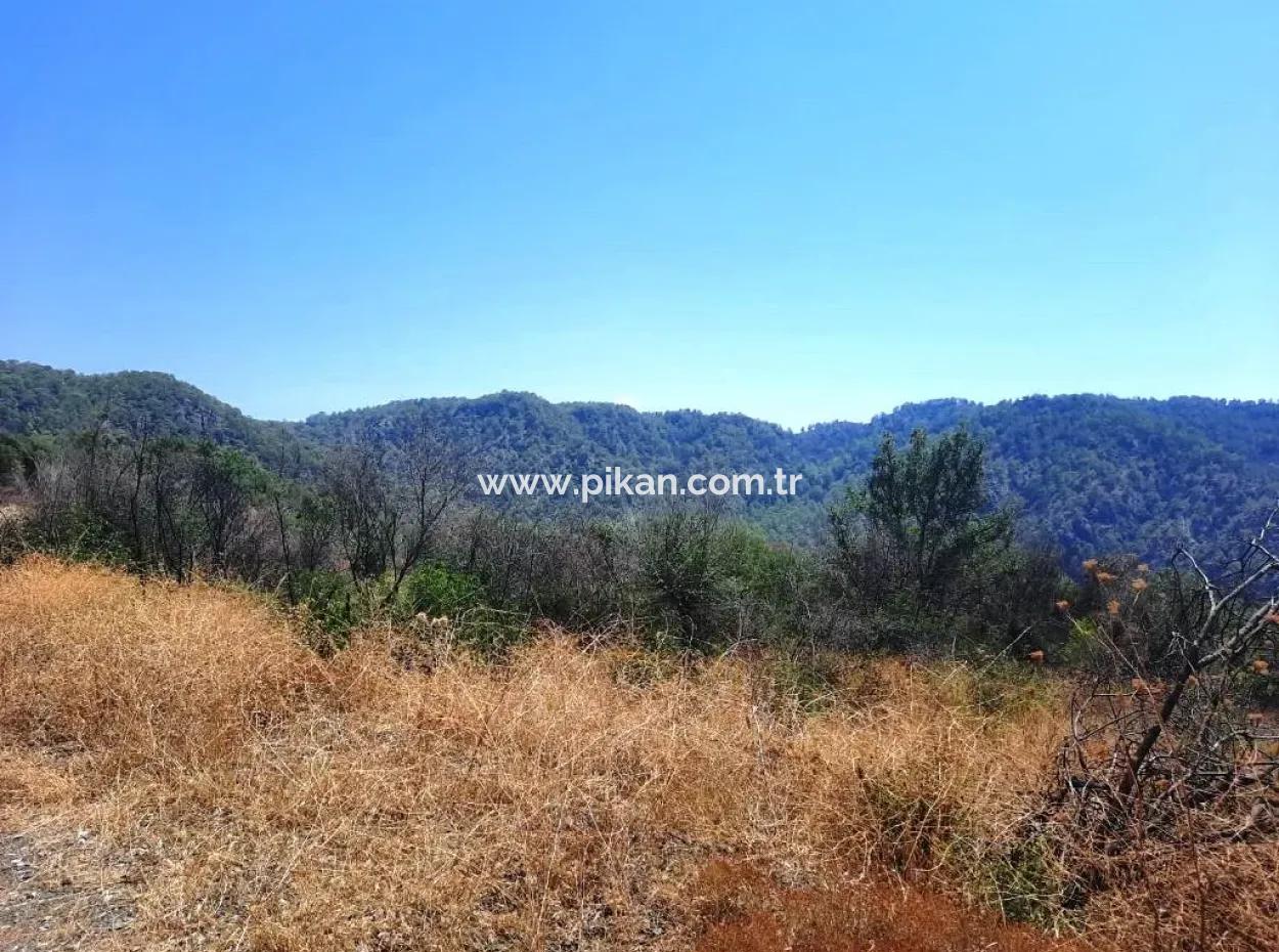 Muğla Dalaman 42.432M2 Detached Land With Title Deed For Sale
