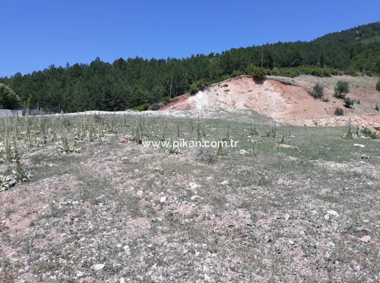 Denizli -Çameli- Belevi Mah. Highway Side 500 M2 Zoned Land For Sale