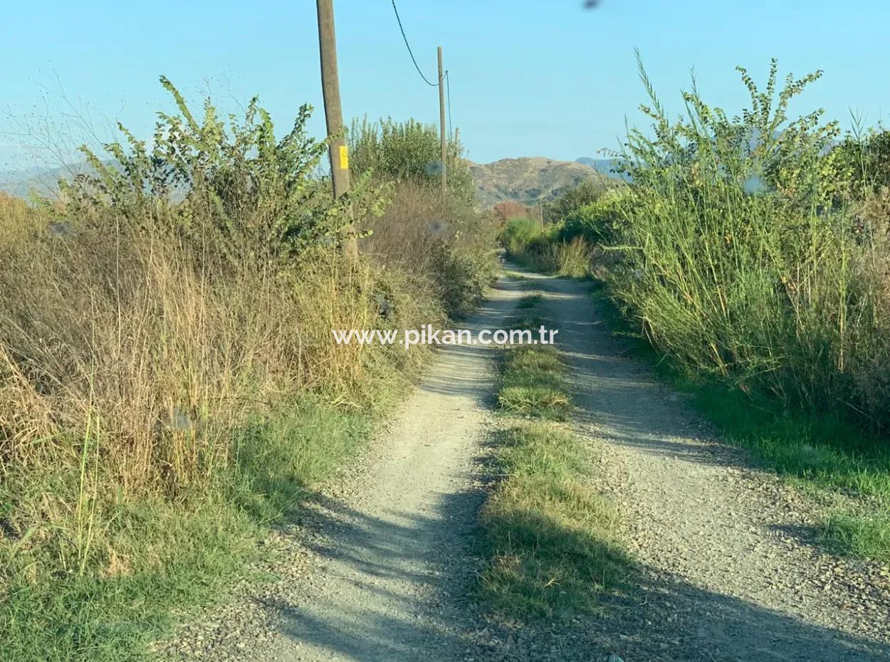 3000 M2 Of 28.394 M2 In Ortaca Güzelyurt Field For Sale