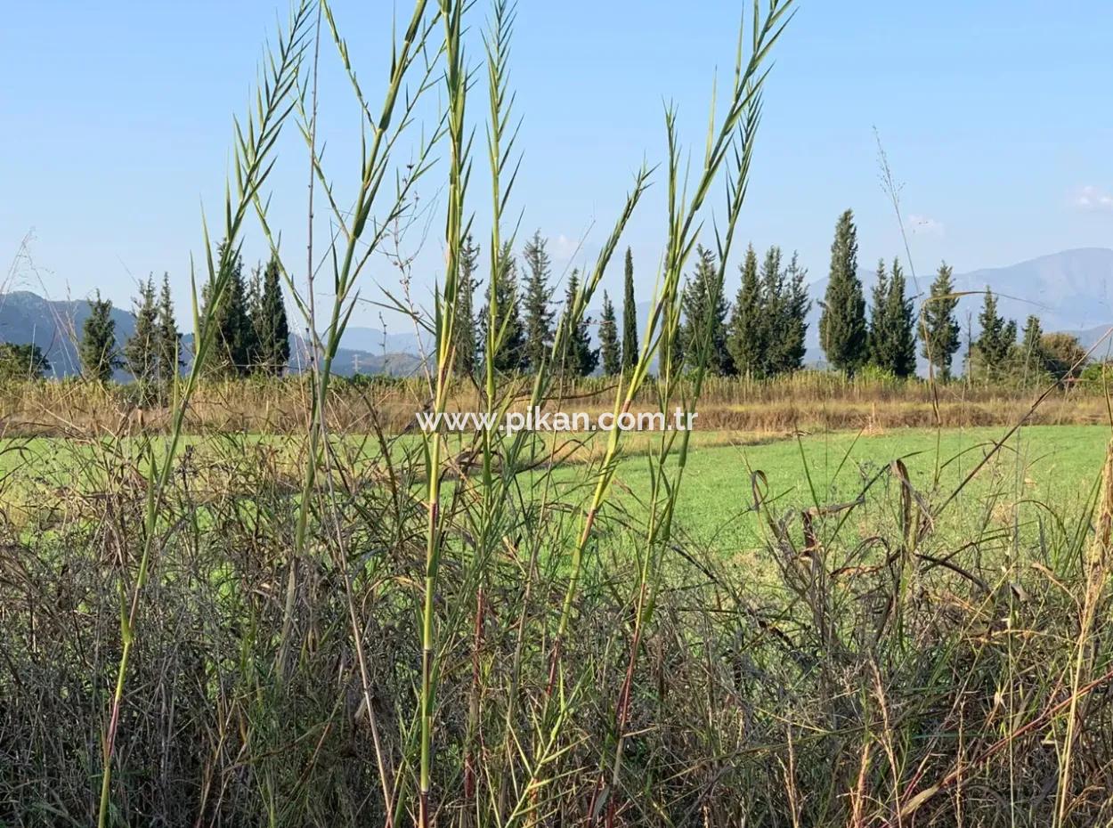 3000 M2 Of 28.394 M2 In Ortaca Güzelyurt Field For Sale