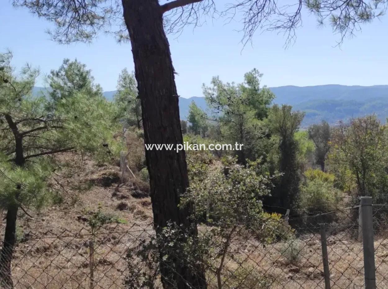 Ula Esentepede 4 200 M2 Sea View Land For Sale
