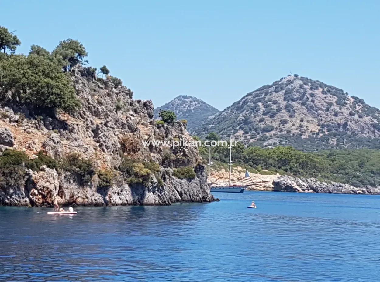 Fethiye Gocek Island Sea Side Location 2600 M2 Olive Grove For Sale