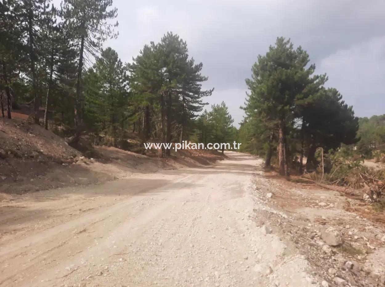 6 230 M2 Detached Land For Sale Or Exchange On The Old Acıpayam Road In Çameli Cumanda