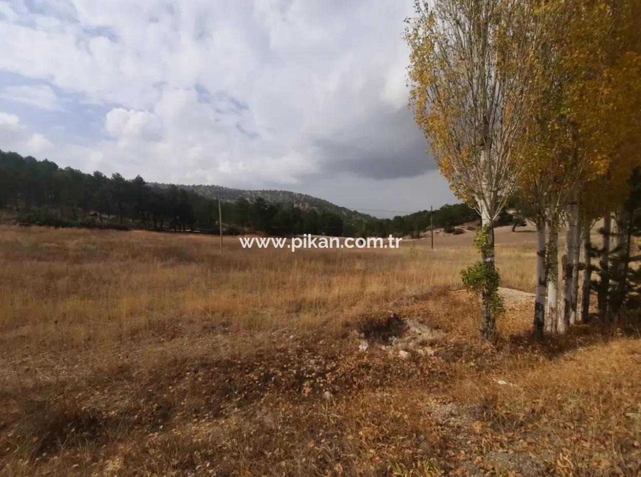 6 230 M2 Detached Land For Sale Or Exchange On The Old Acıpayam Road In Çameli Cumanda