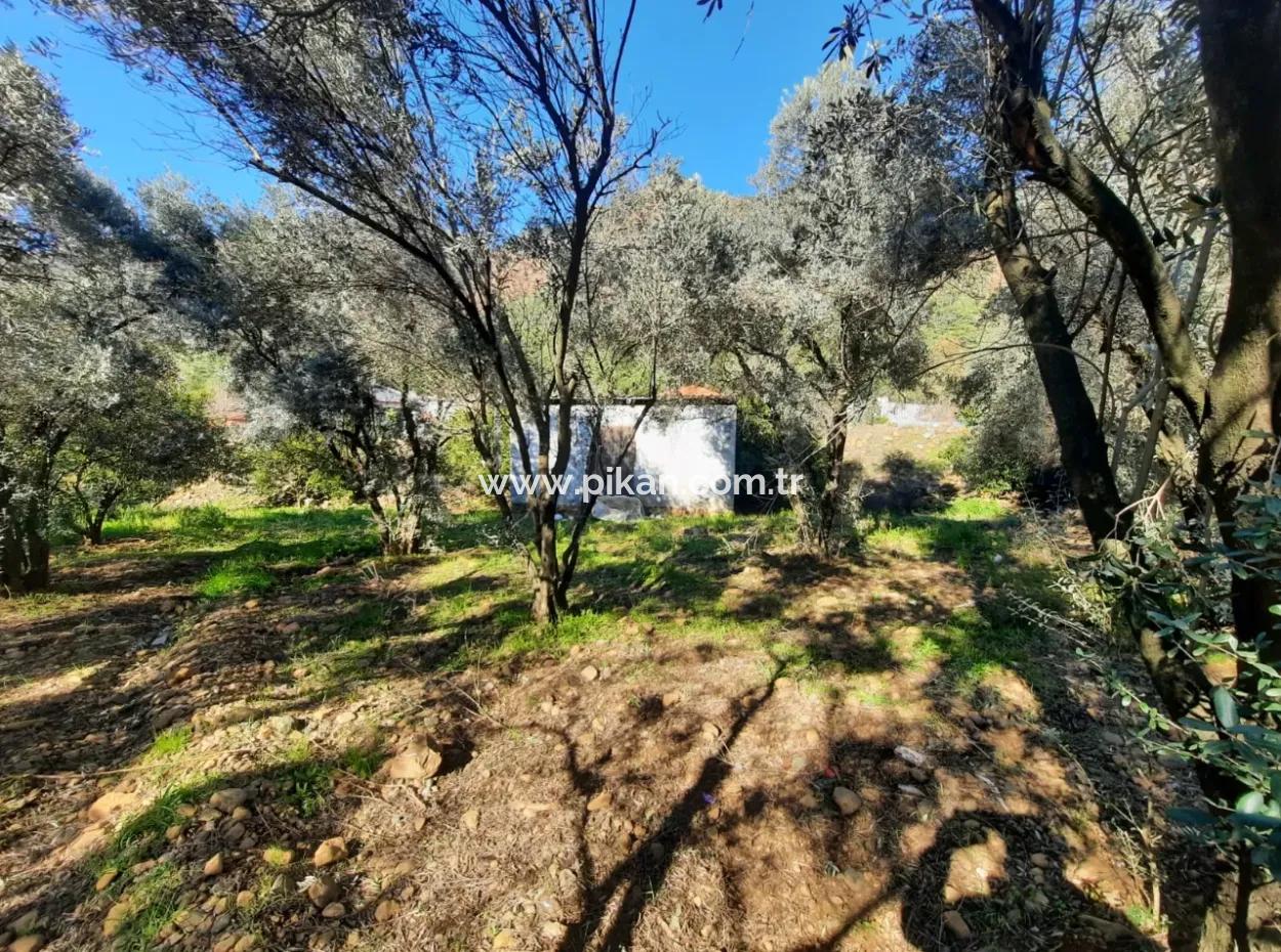 Köyceğiz Toparlarda 4 200 M2 Land Single Storey Detached House For Sale