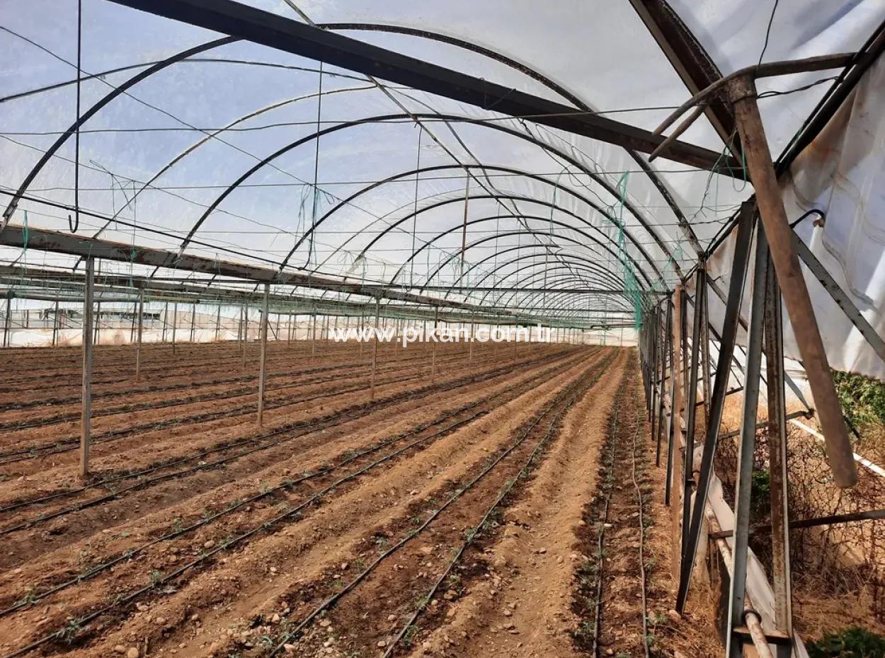3100 M2 Zoned Land And Greenhouse In Muğla Ortaca Ekşiliyurt For Sale