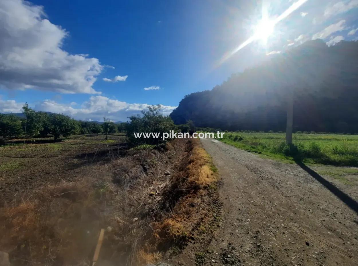20.000 M2 In Muğla Ortaca Okçular Marmarlı, Land For Sale In The Zoning Plan