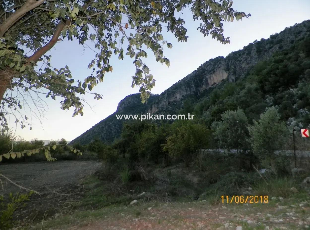 Farm For Sale In Oriya Yeşilyurt