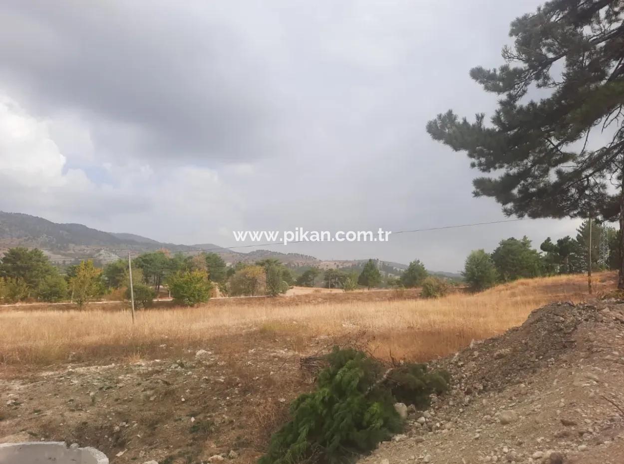 6 230 M2 Fertile Land For Rent In Çameli Cumaalanı