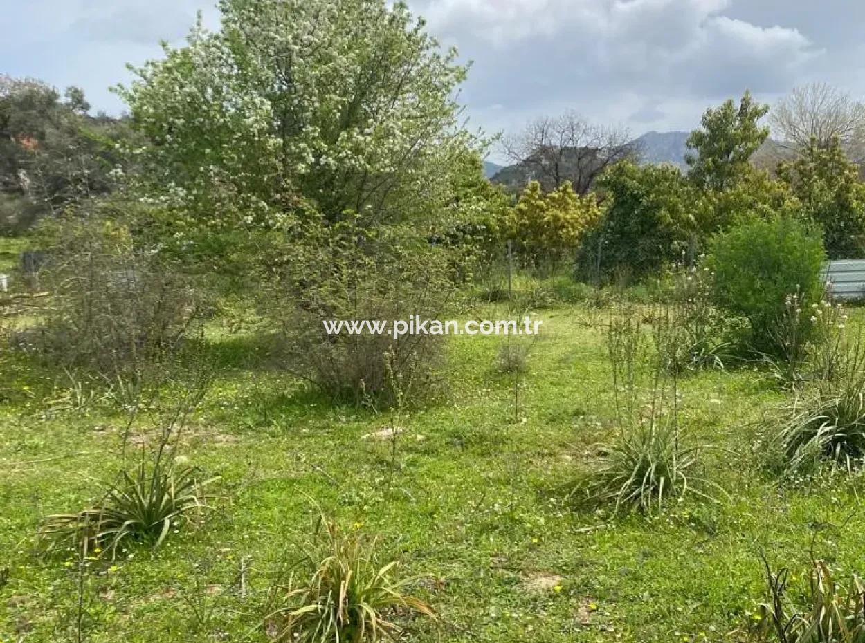541 M2 Detached Land For Sale In Çandır, Muğla Köyceğiz