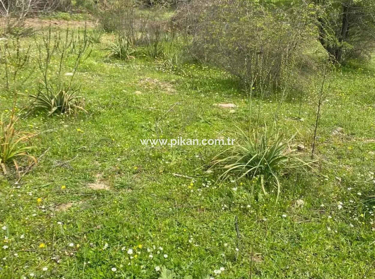 541 M2 Detached Land For Sale In Çandır, Muğla Köyceğiz