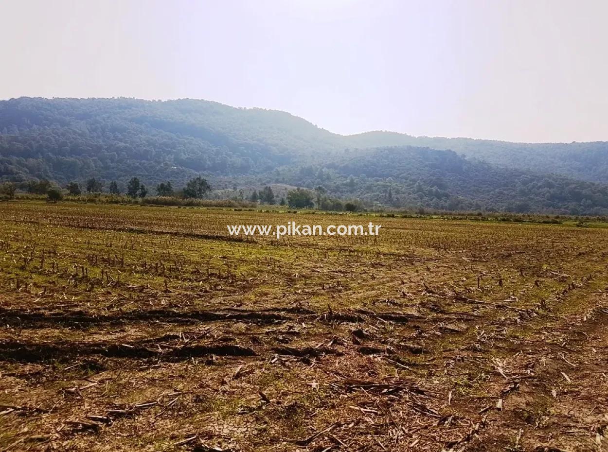Region Of Fertile Land Rental