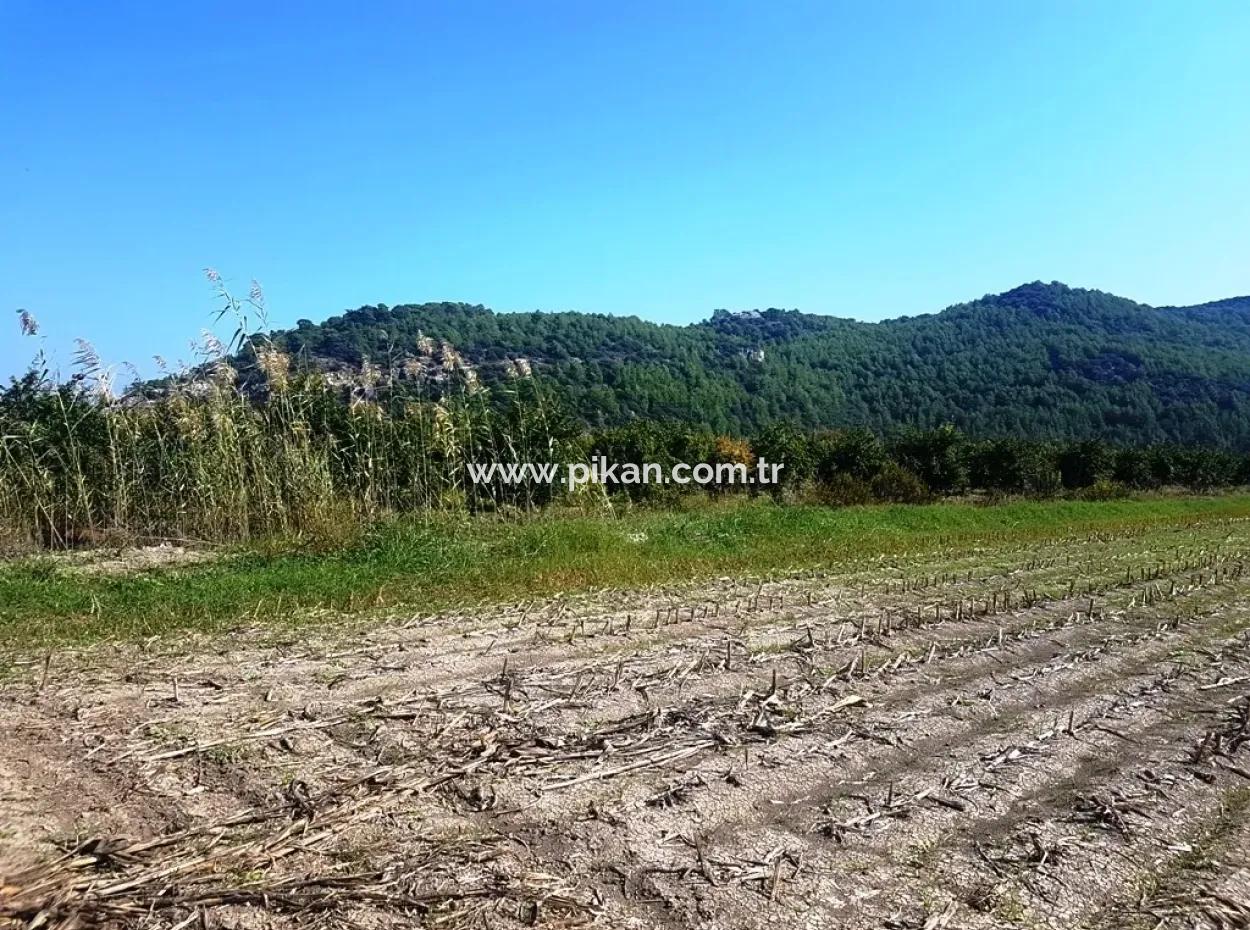 Region Of Fertile Land Rental