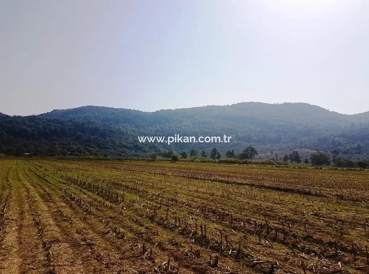 Region Of Fertile Land Rental