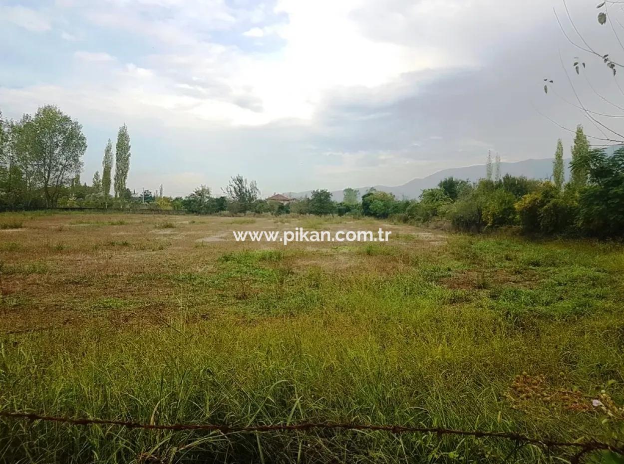 Suitable Land For Investment For Sale In Fire