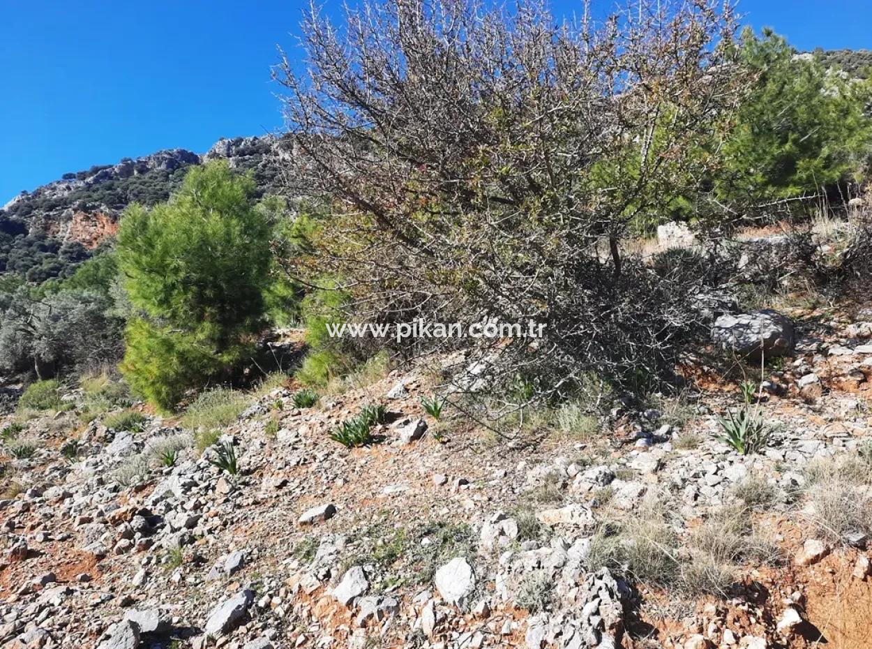 Muğla Ortaca Dalyan Gökbelde 3 100 M2 2B Land Property Right Will Be Transferred