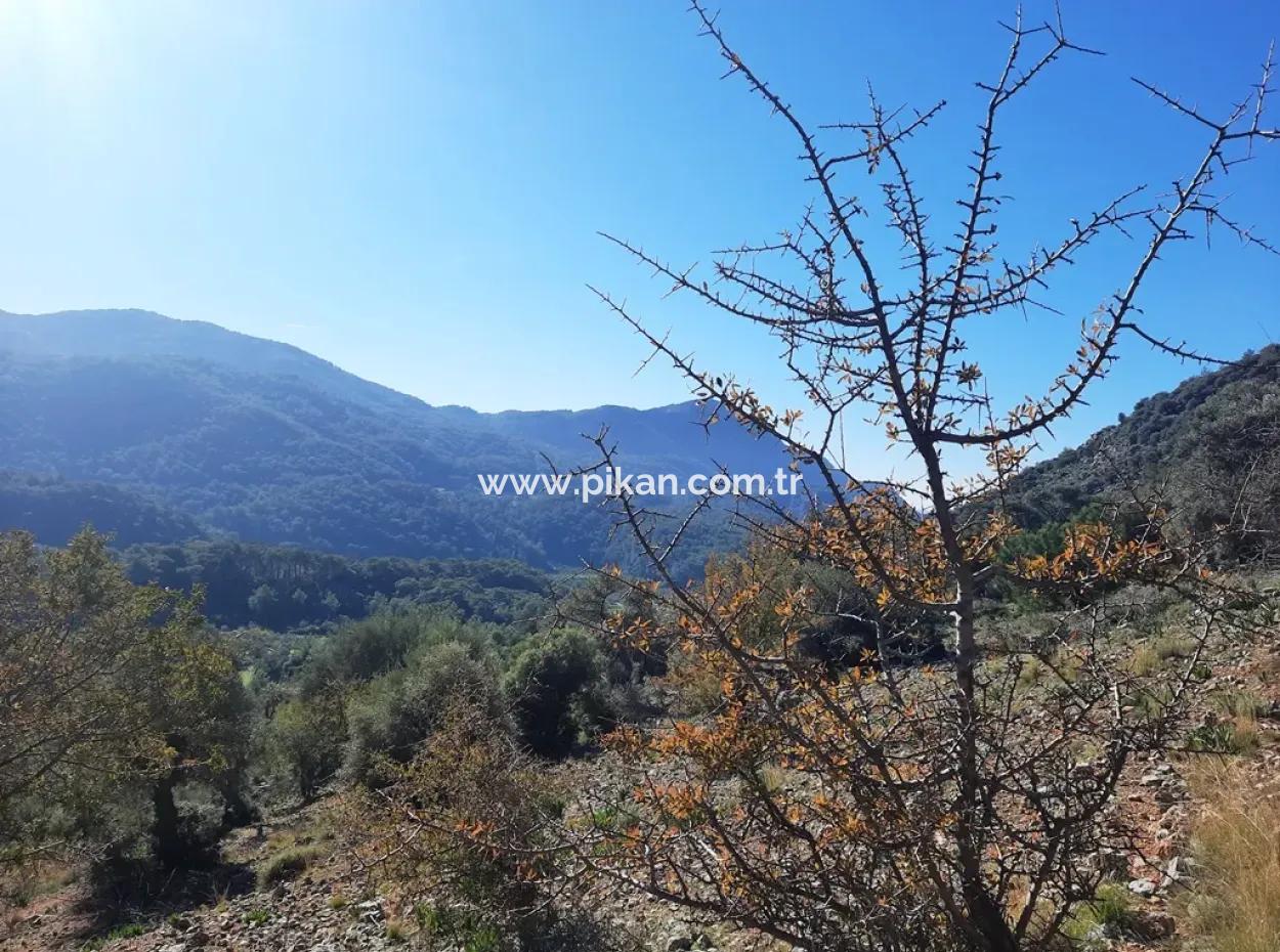 Muğla Ortaca Dalyan Gökbelde 3 100 M2 2B Land Property Right Will Be Transferred