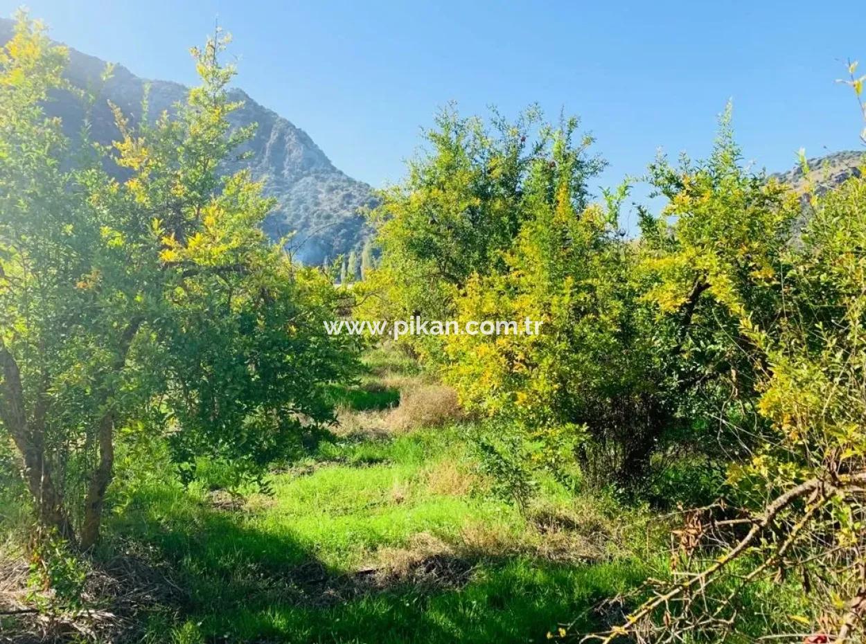 For Sale Land For Sale In Mergenli