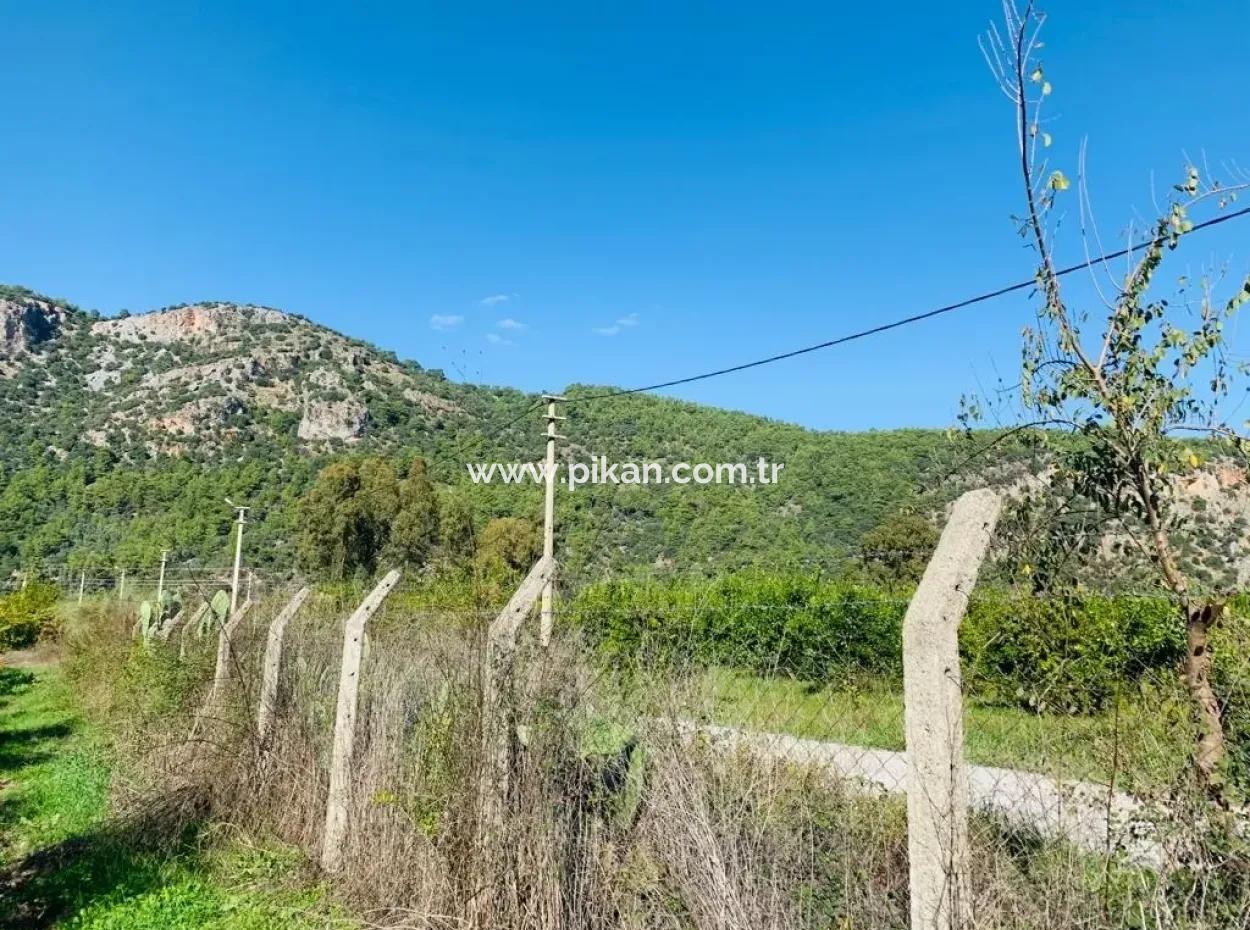 For Sale Land For Sale In Mergenli