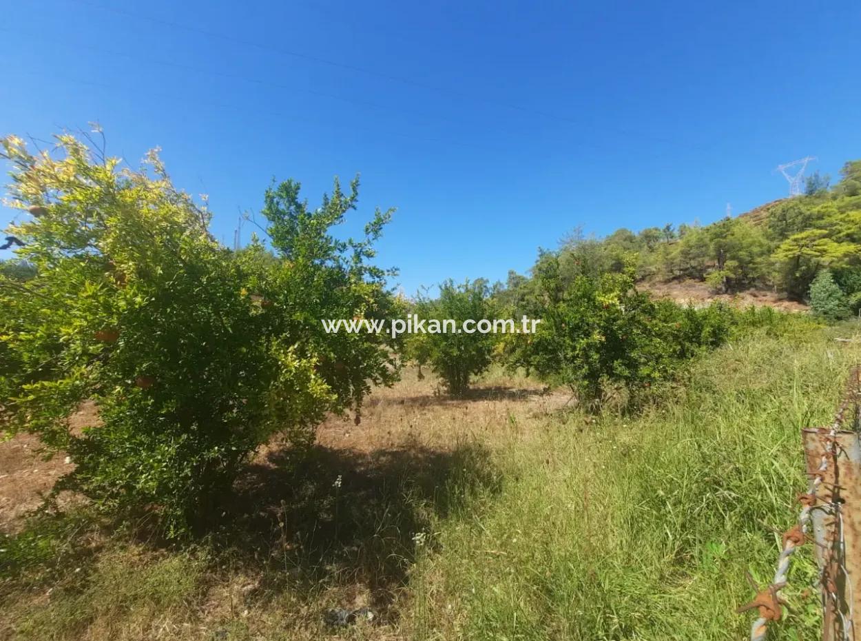 Muğla Ortaca Çaylıda 600 M2 Residential Zoned Bargain Land For Sale