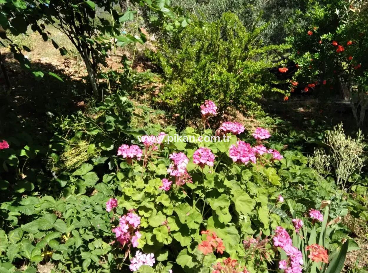 Ortaca Cumhuriyet Mah. 3-Storey House Complete For Sale In 357 M2 Plot