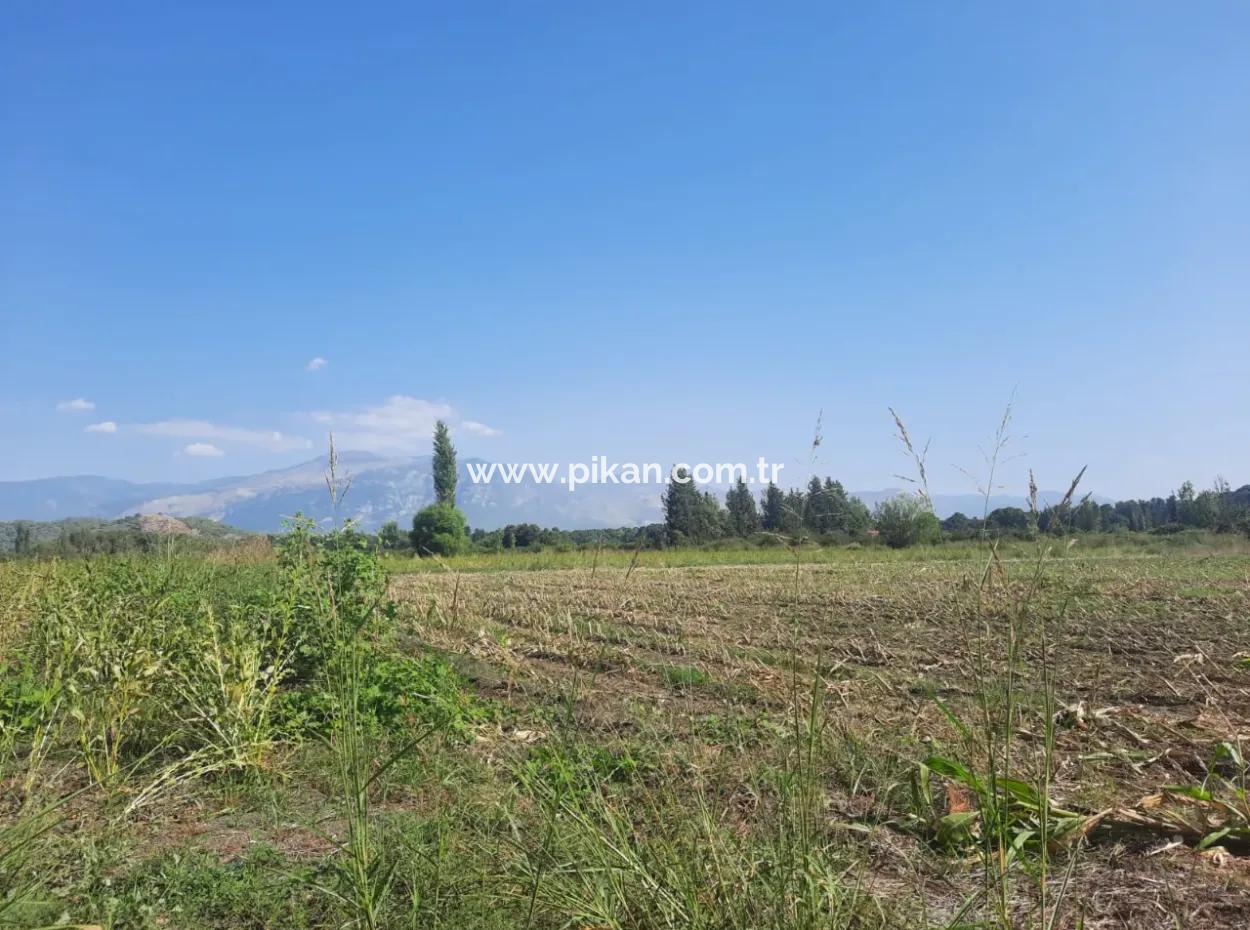 2 650 M2 Fertile Land For Sale In Köyceğiz Poplar