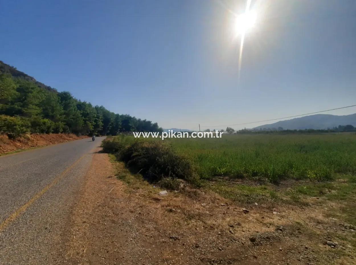 Muğla Ortaca Ekşiliyurt 8.000 M2 Fertile Land For Sale