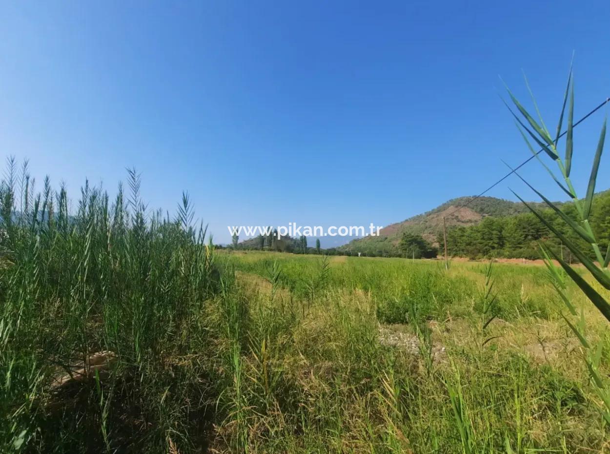 Muğla Ortaca Ekşiliyurt 8.000 M2 Fertile Land For Sale