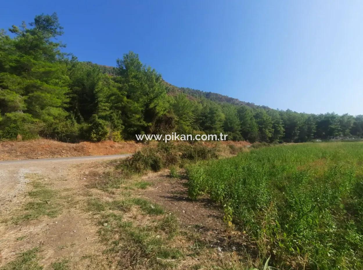 Muğla Ortaca Ekşiliyurt 8.000 M2 Fertile Land For Sale