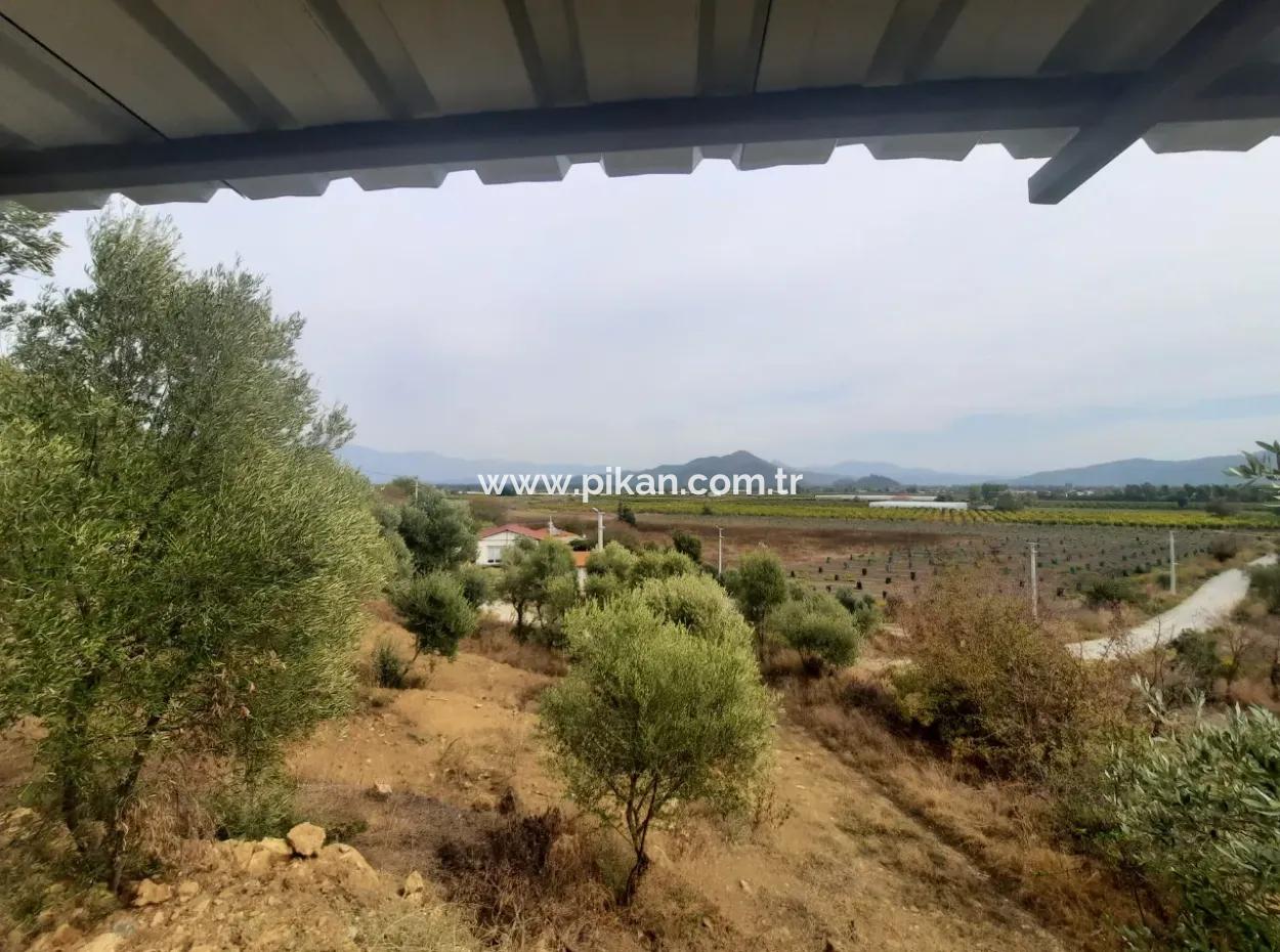 2 500 M2 Treasury Land In Eskiköy Possession Right Will Be Transferred Or Vehicle Exchanged