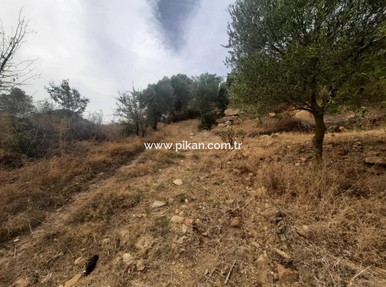 2 500 M2 Treasury Land In Eskiköy Possession Right Will Be Transferred Or Vehicle Exchanged