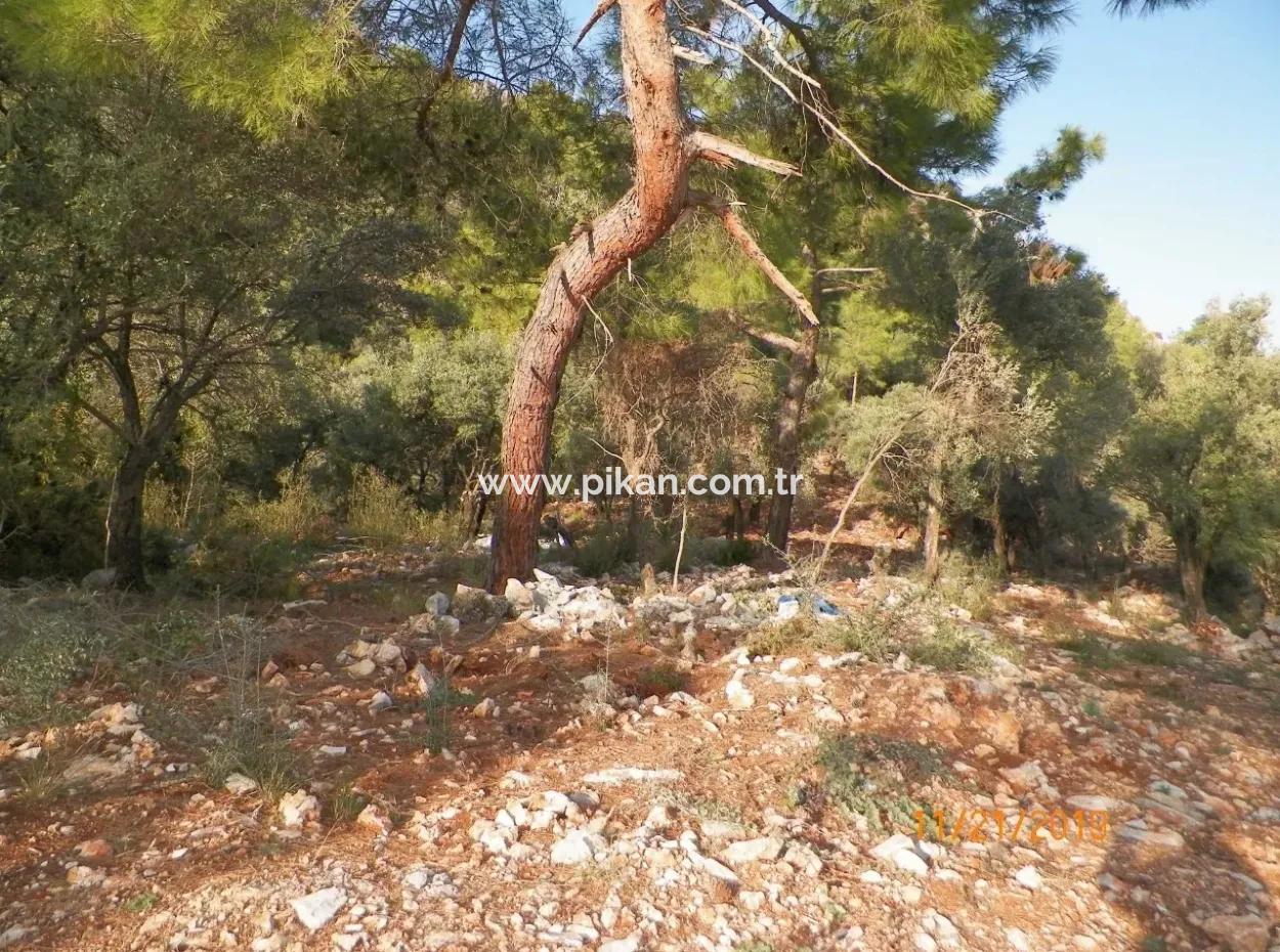 Fevziye Land For Sale With Sea View