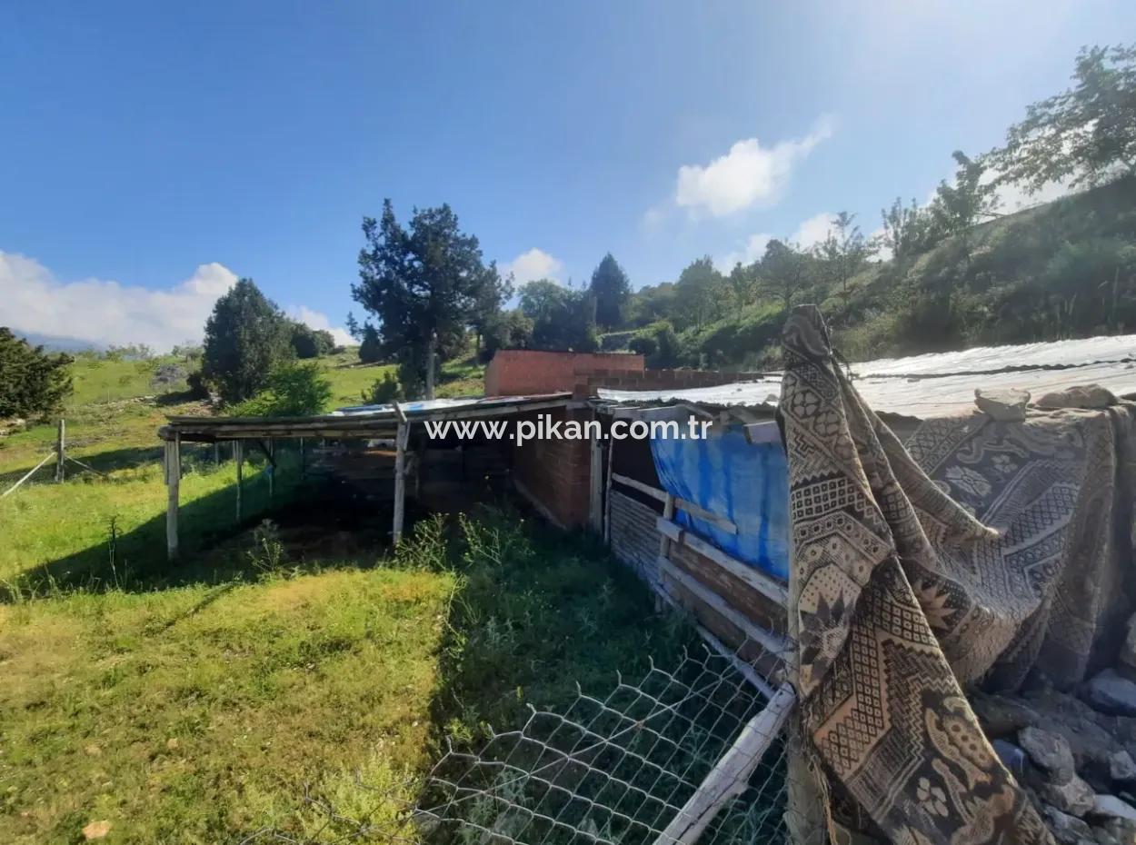 5 000 M2 Land In Çameli Kızılyaka 2 In 1 Detached House, And Barn For Rent
