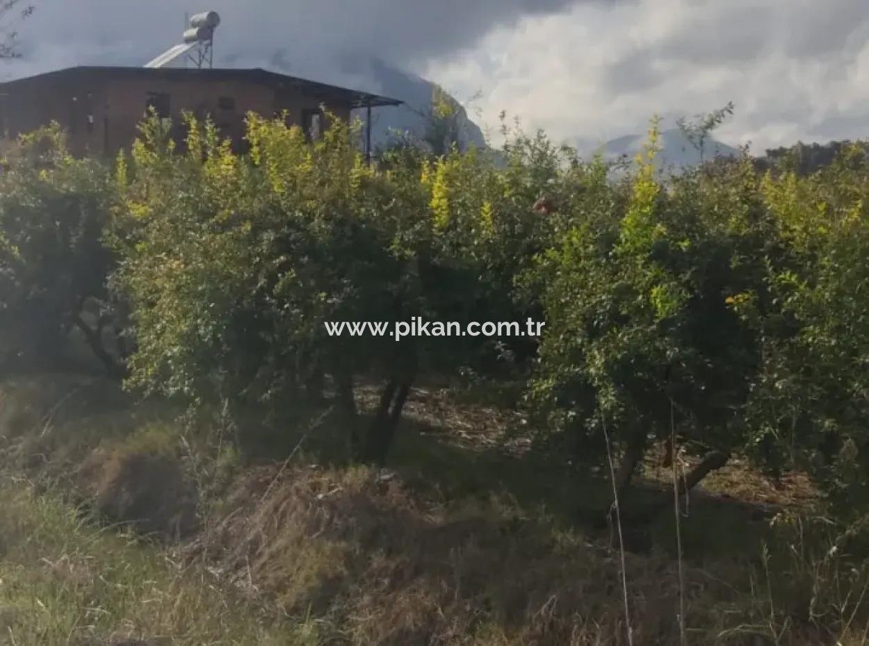 7833 M2 Detached Field For Sale In Muğla Ortaca Eskiköy