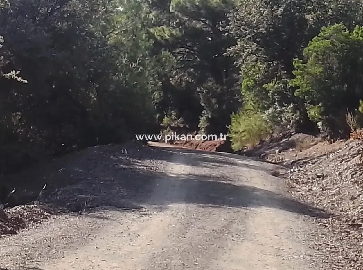 Muğla Dalyan Gökbelde 7 270 M2 Detached Title Deed Sea And Lake View Land For Sale