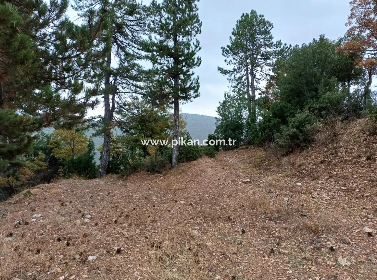 1 900 M2 Detached Bargain Land For Sale In Burdur Gölhisar Yeşildere
