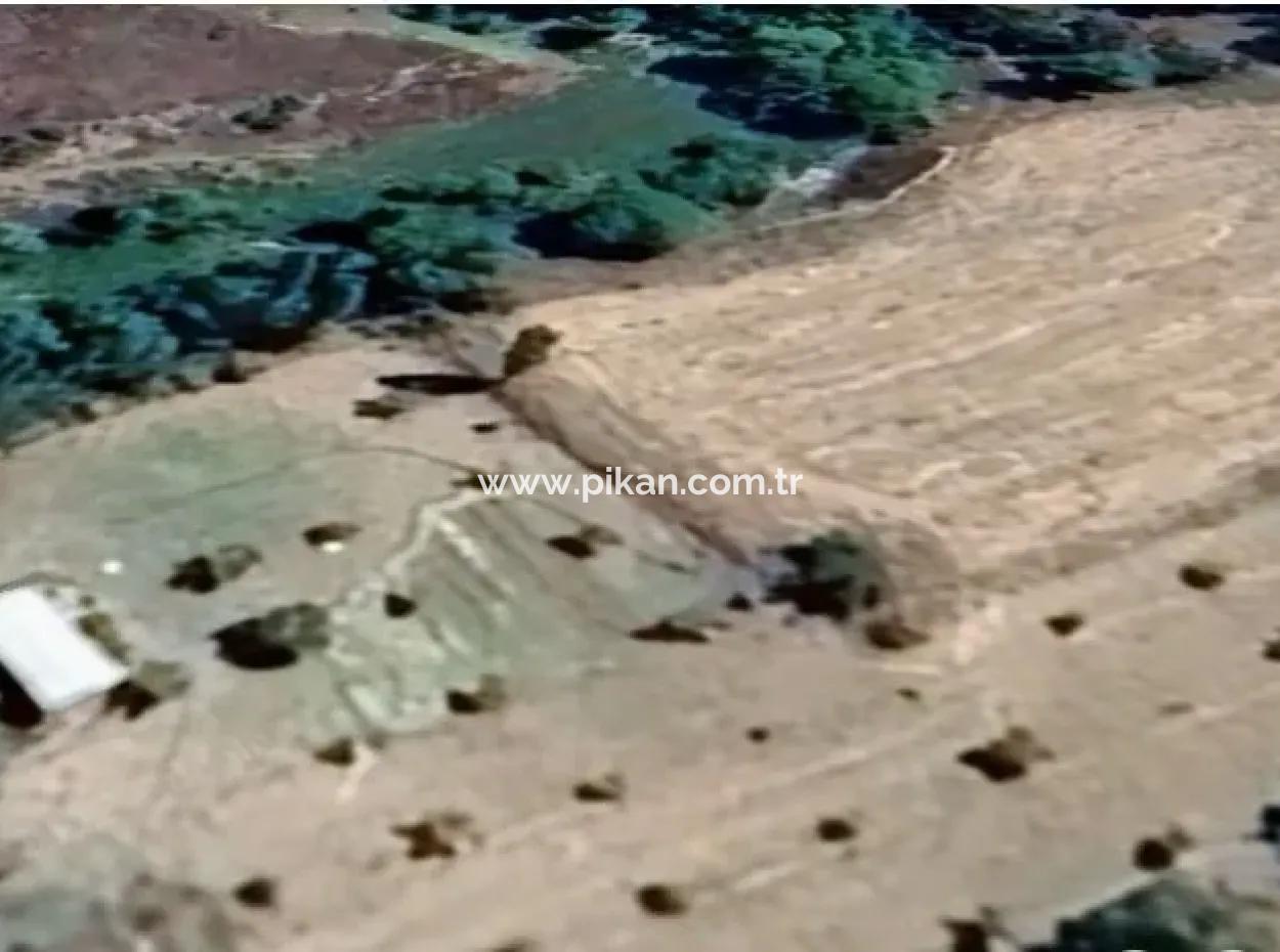 3500 M2 Zoned Walnut Orchard For Sale In Denizli Çameli Cevizli