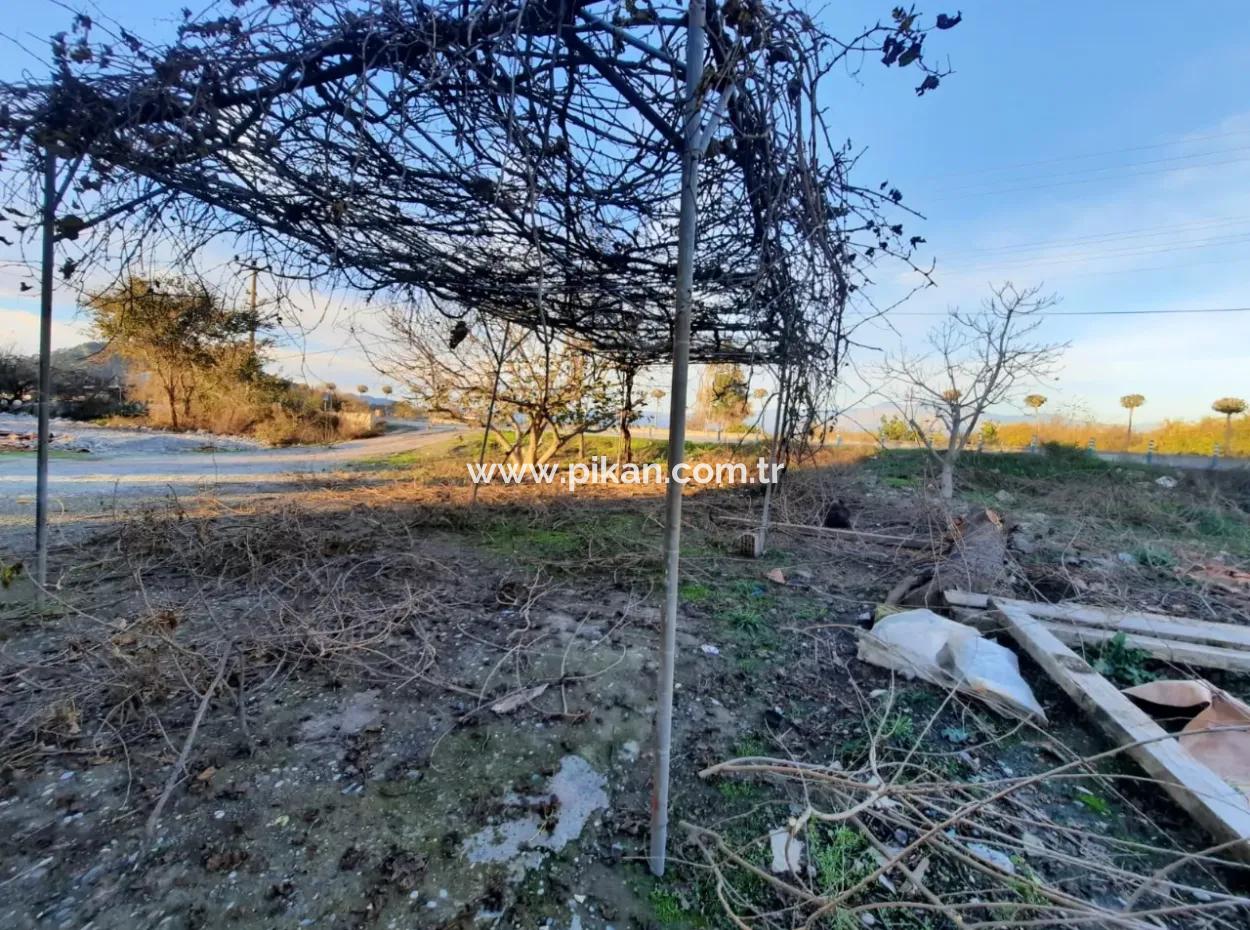 Muğla Ortaca Dalyanda Main Road Front 500 M2 % 30 - 60 Residential Zoned Land For Sale