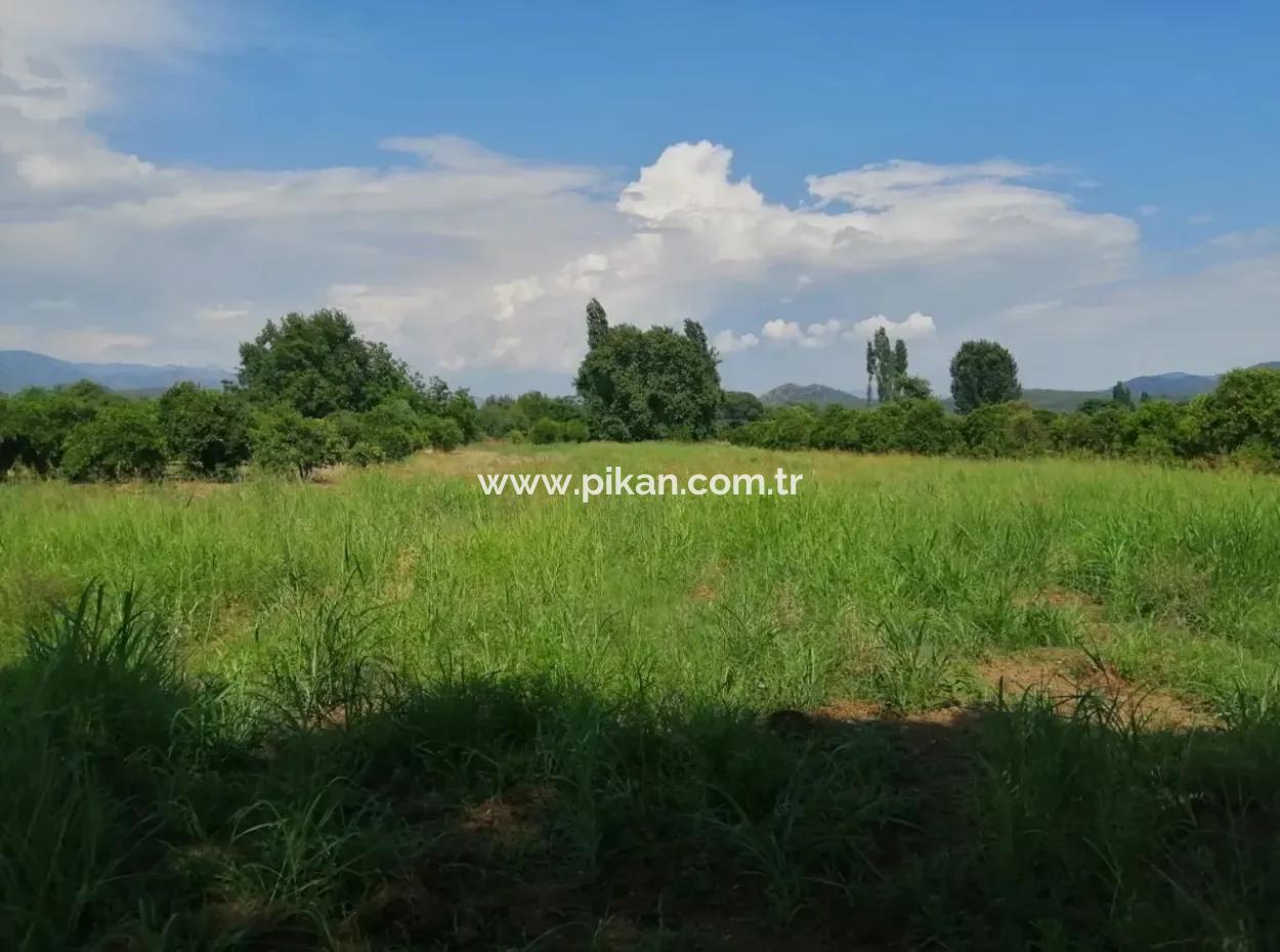 Farm For Sale In Köyceğiz Beyoba Bargain