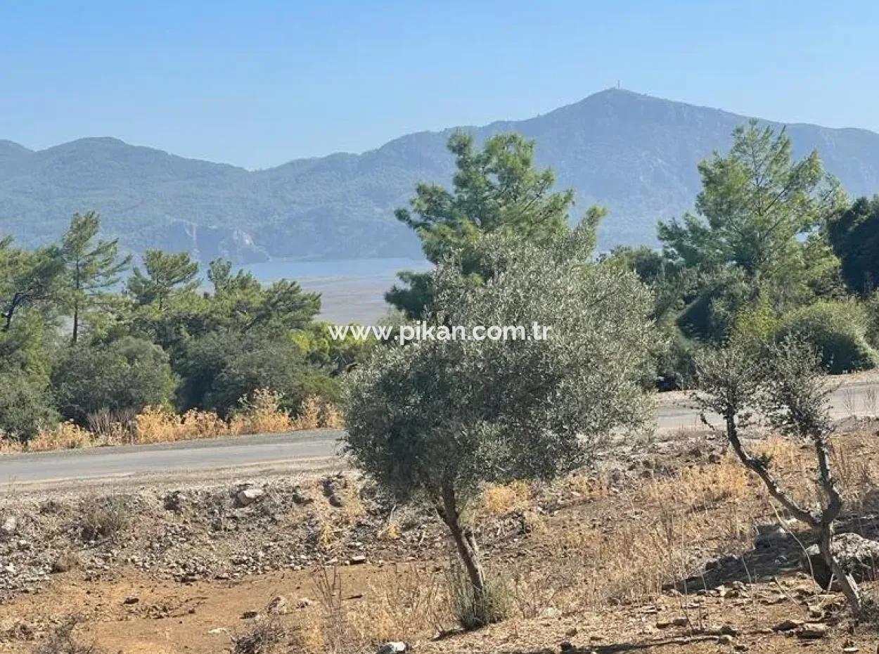 5000 M2 2B Field For Sale