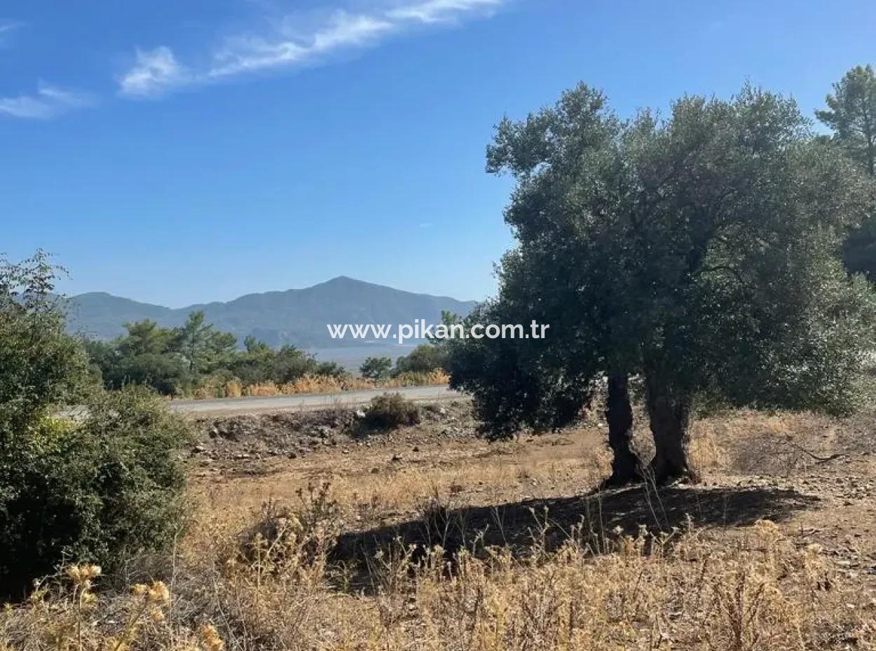 5000 M2 2B Field For Sale