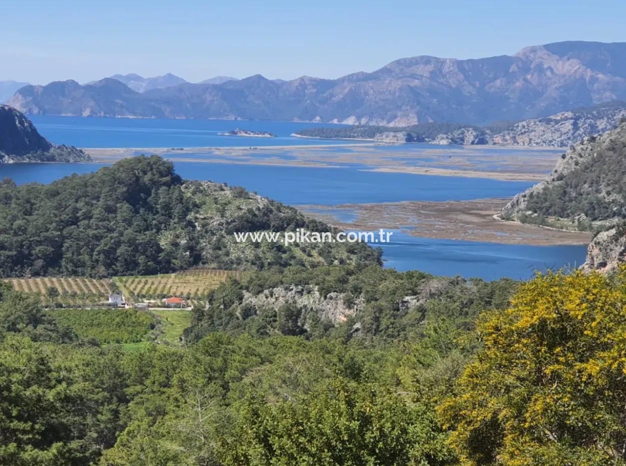 4 1 Sea View Detached Furnished Villa For Sale In Muğla Dalyan Gökbel