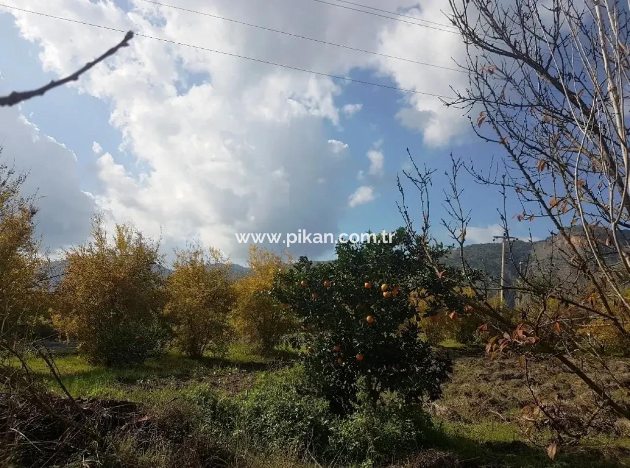 Detached Village House For Sale In Ta Yeşilyurt